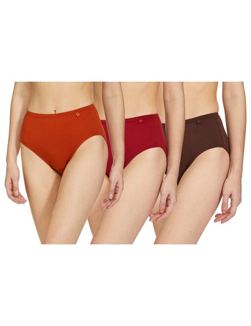Van Heusen Antibactieral Cotton Bikini Panty (Pack of 3) (Colors and Prints may vary)