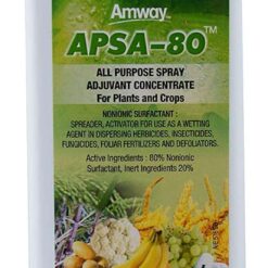 Amway Apsa – 80 (Clear, 1 Kg)